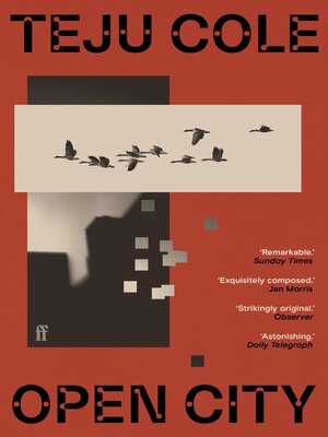 cover image of Open City